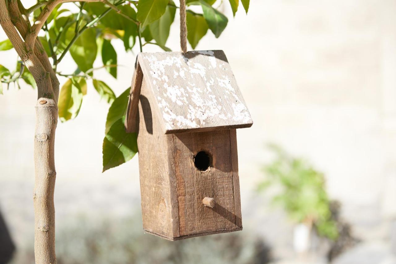 Ferienhaus Lemon Tree Rieden  Ngoại thất bức ảnh